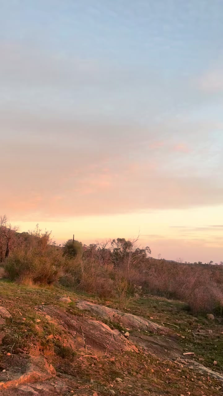 @🇦🇫30MǍ🇦🇺