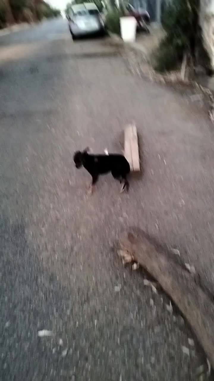 @#NoSoyRunner