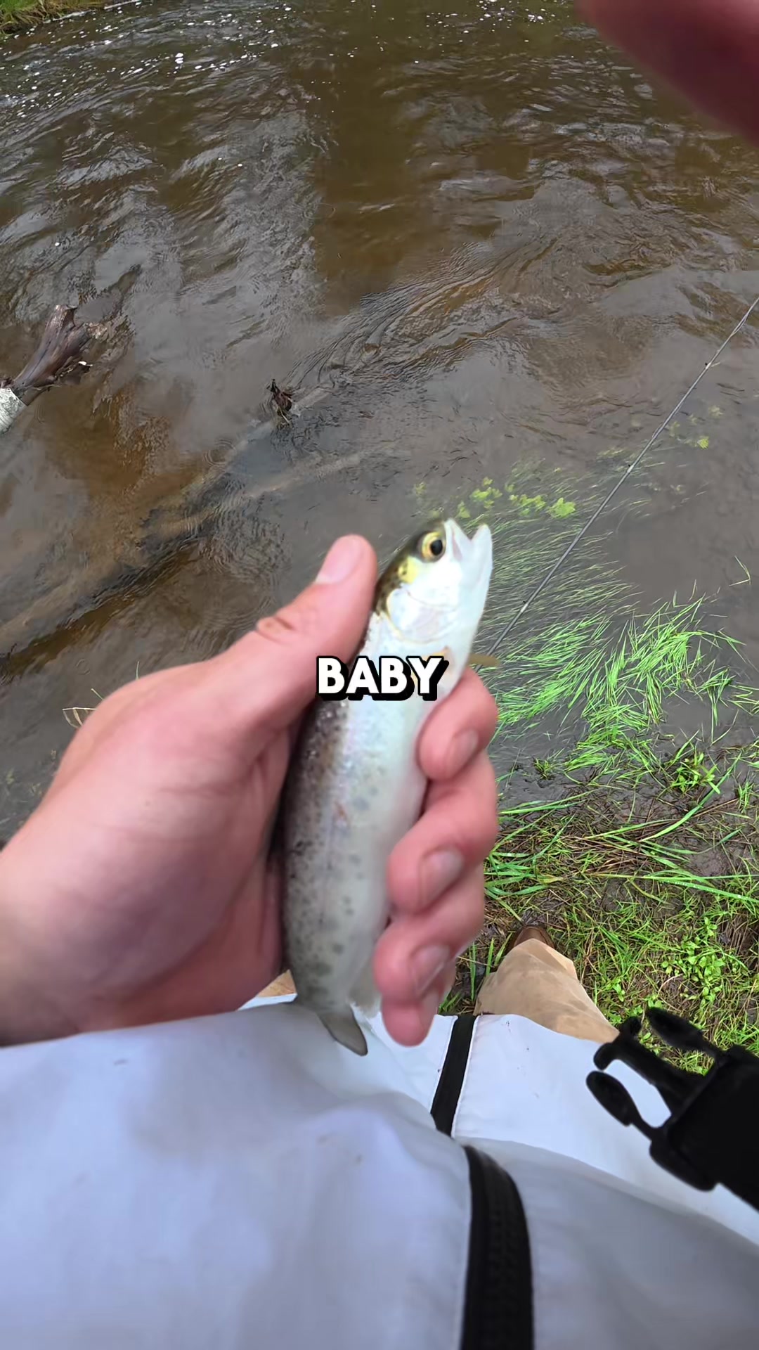 @JlangFishing