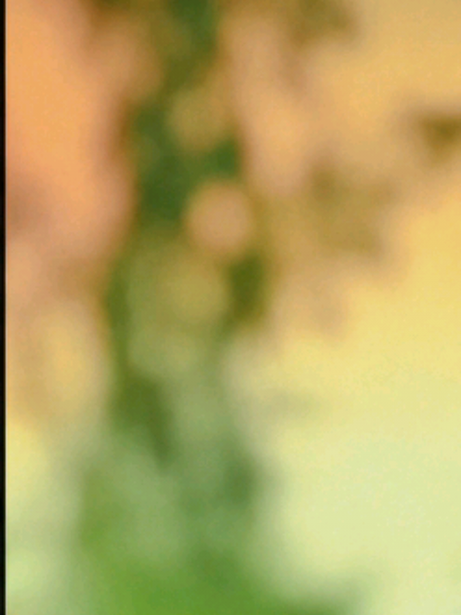 @┗⊱ 𝑹𝒆𝒉𝒂𝒏𝒐 𝒆𝒅𝒊𝒕𝒔 ⊰┛