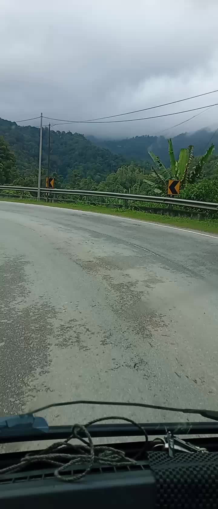 @Toman_Rimba_ll