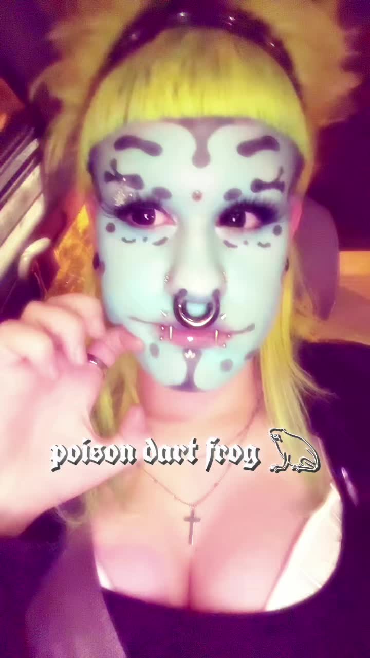 @kitty g [affy] ⋆˚🐾˖&deg;