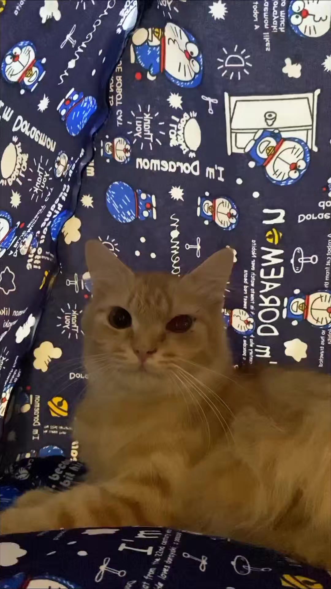@TamaGo Pet