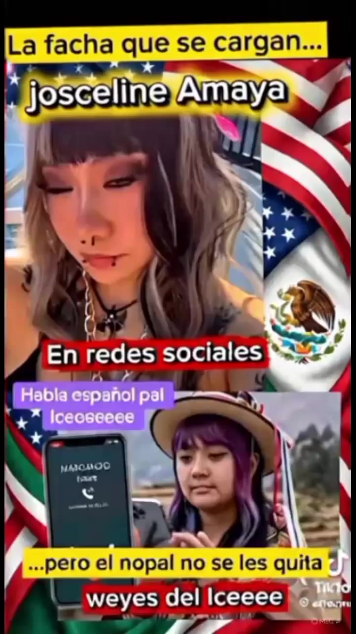 @cachorro
