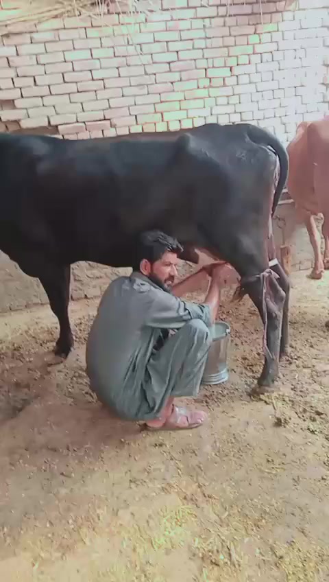 @M&eacute;h&atilde;rR&aacute;h&eacute;&egrave;l