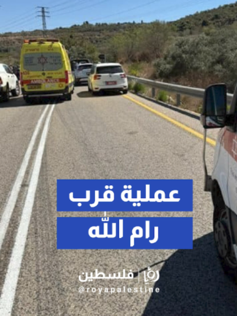 @Royapalestine رؤيا فلسطين