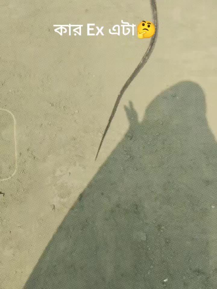 @🦋প্রজাপতি🦋
