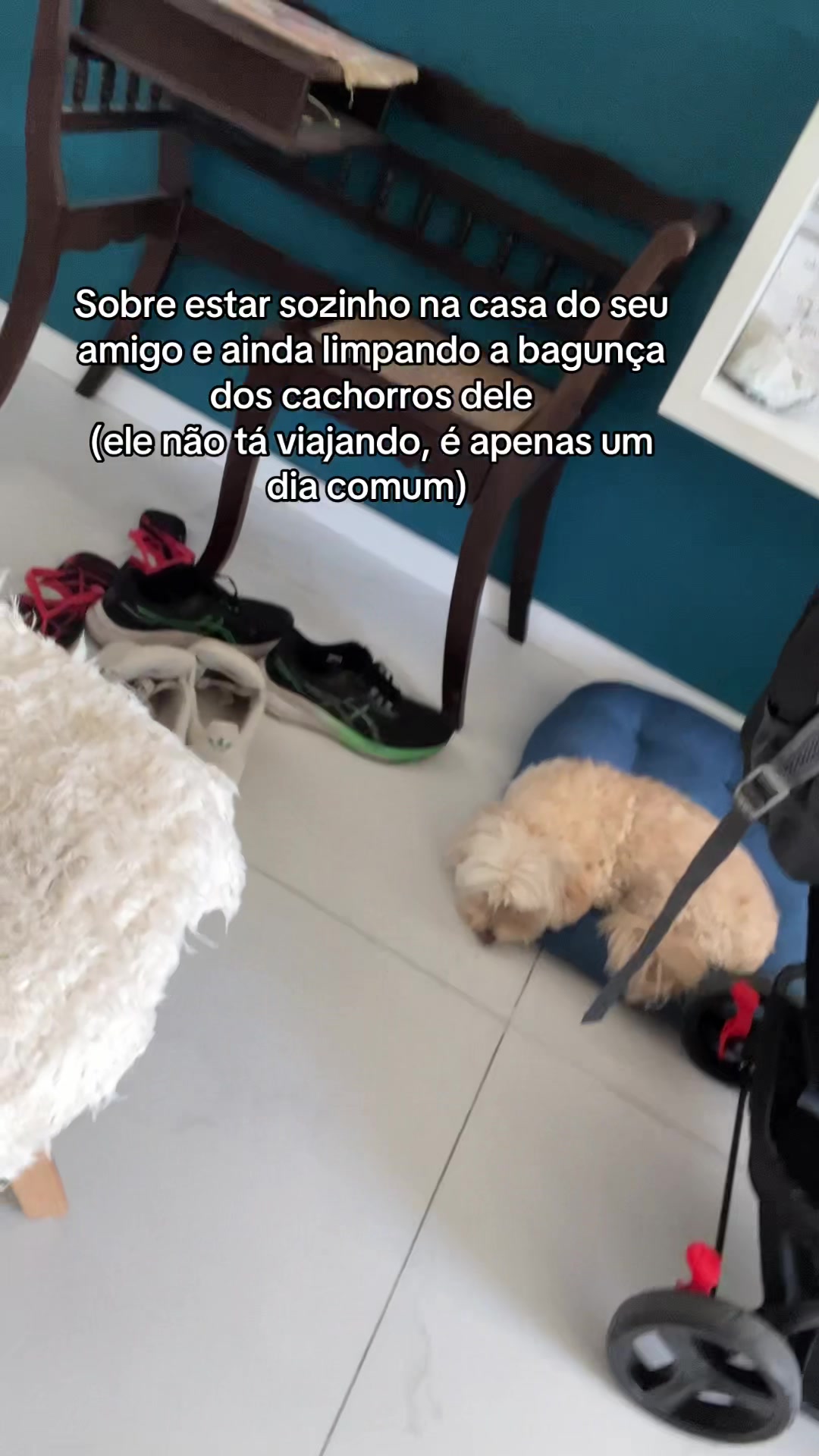 @Fanti