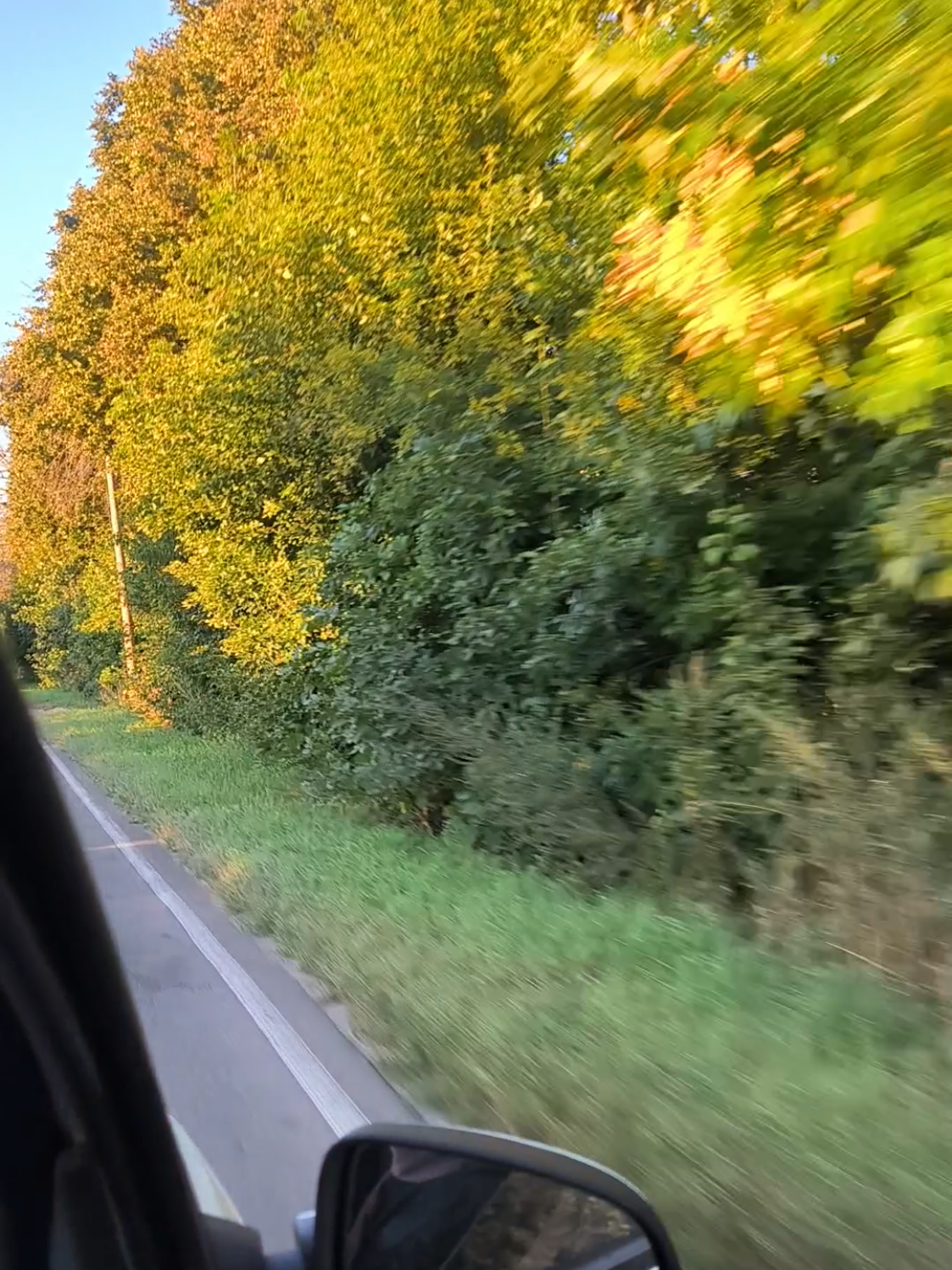 @☆Олеся☆