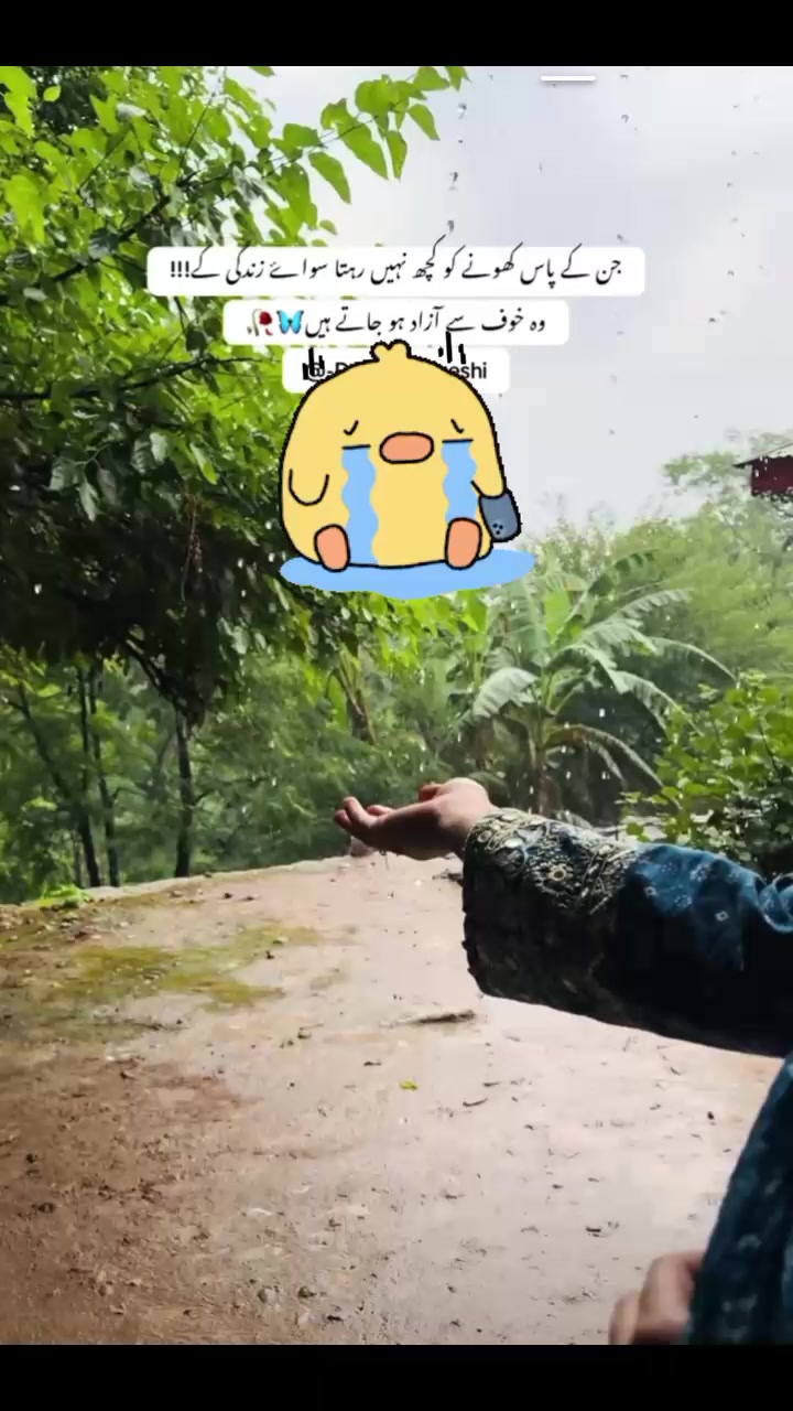 @Rami kohati