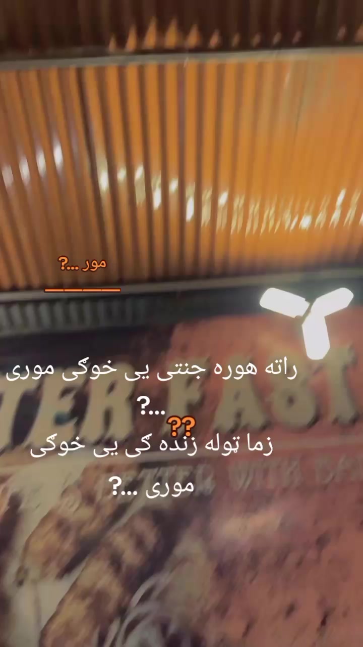@s Shoaib ❤️🩹jani