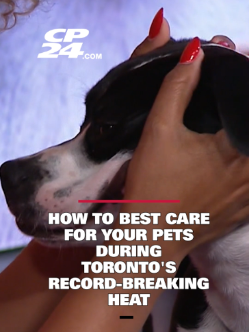 @cp24