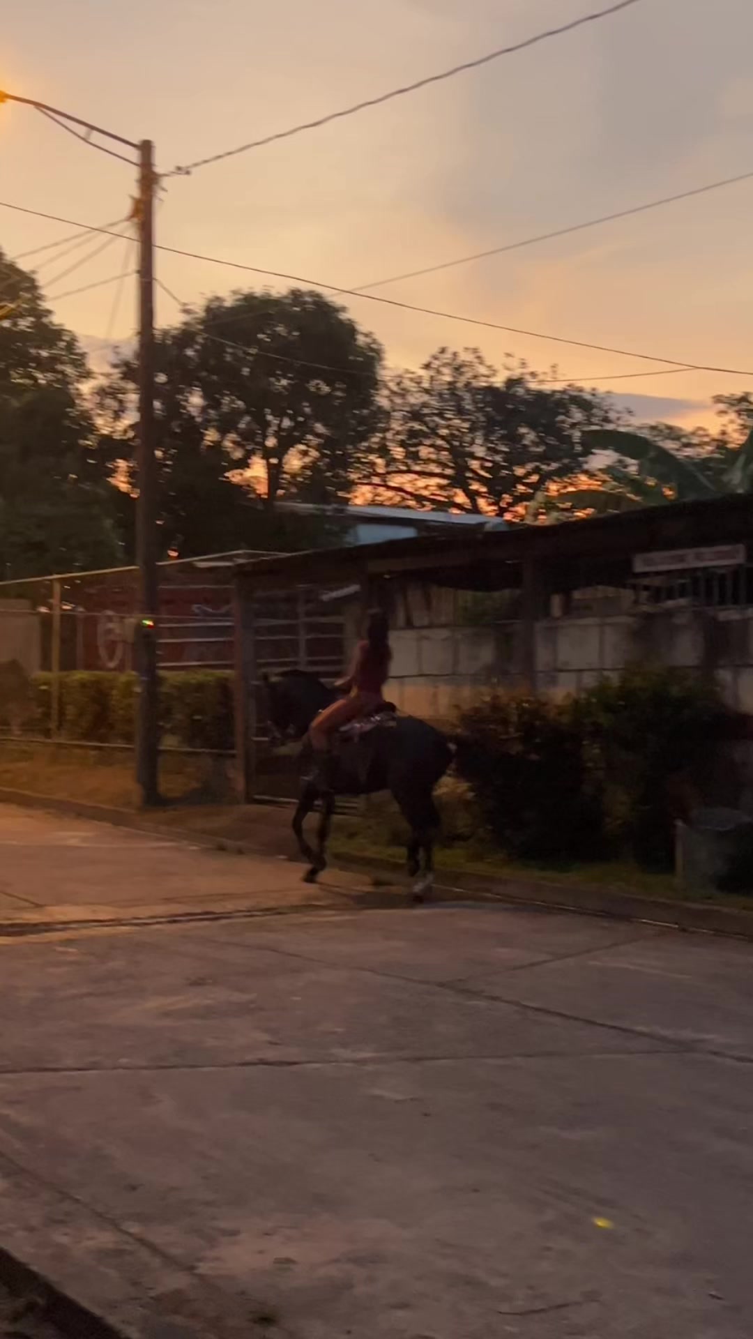 @𝑃𝑎𝑜𝑙𝑎 𝒮🌸