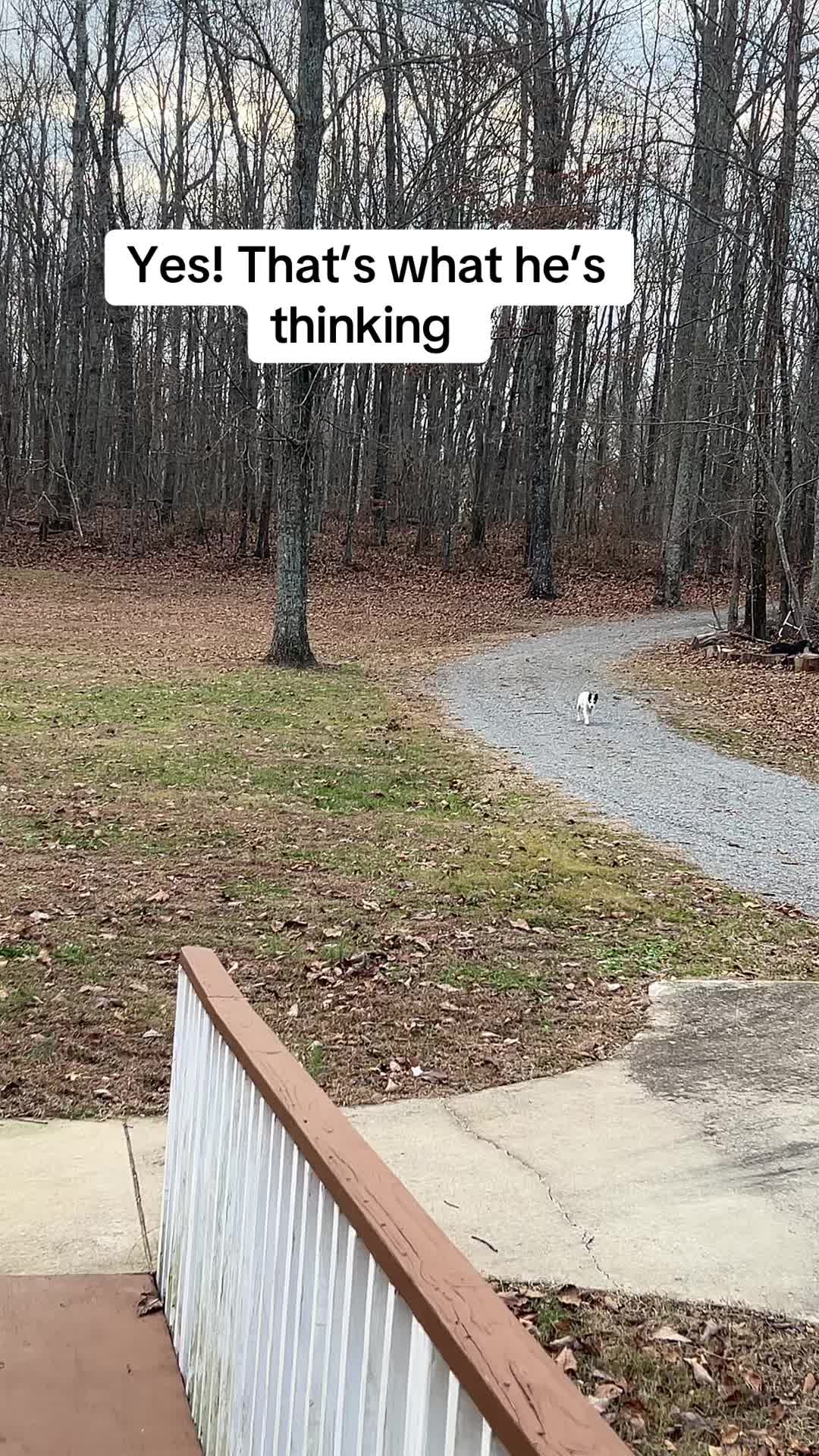 @wdgenx/Dig_em