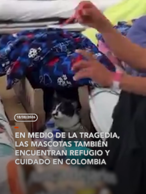 @RED UNO DE BOLIVIA