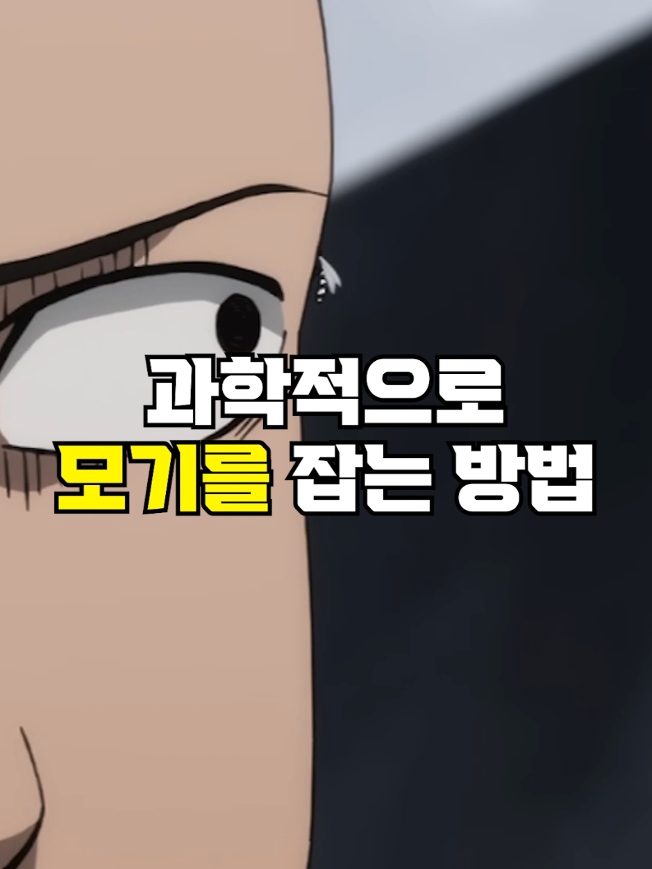 @뚝딱 상식 뚝배기