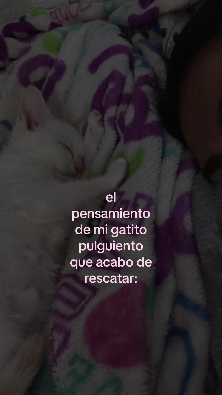 @𐚁
