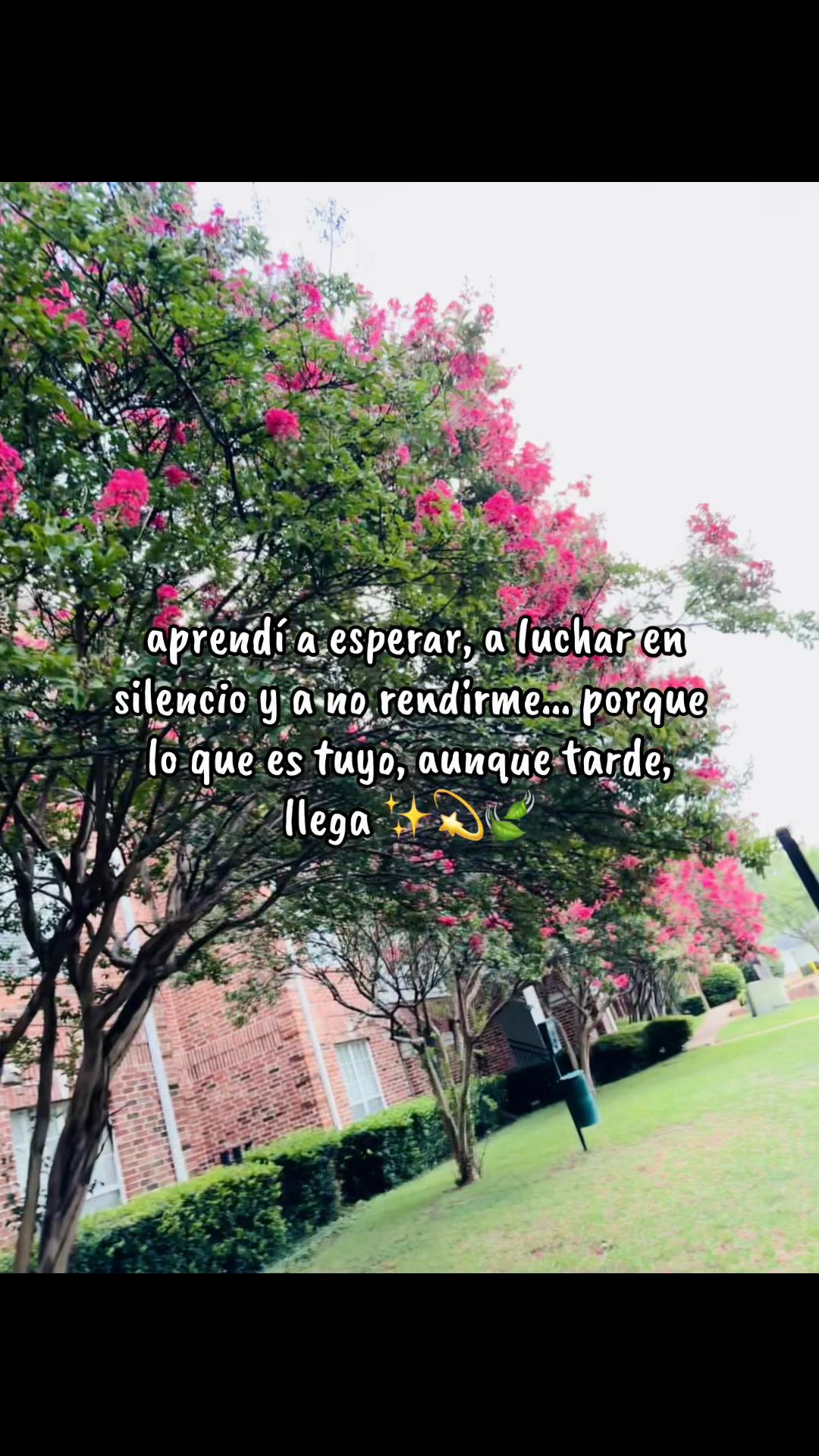 @Antho🧚♀️✨🌻