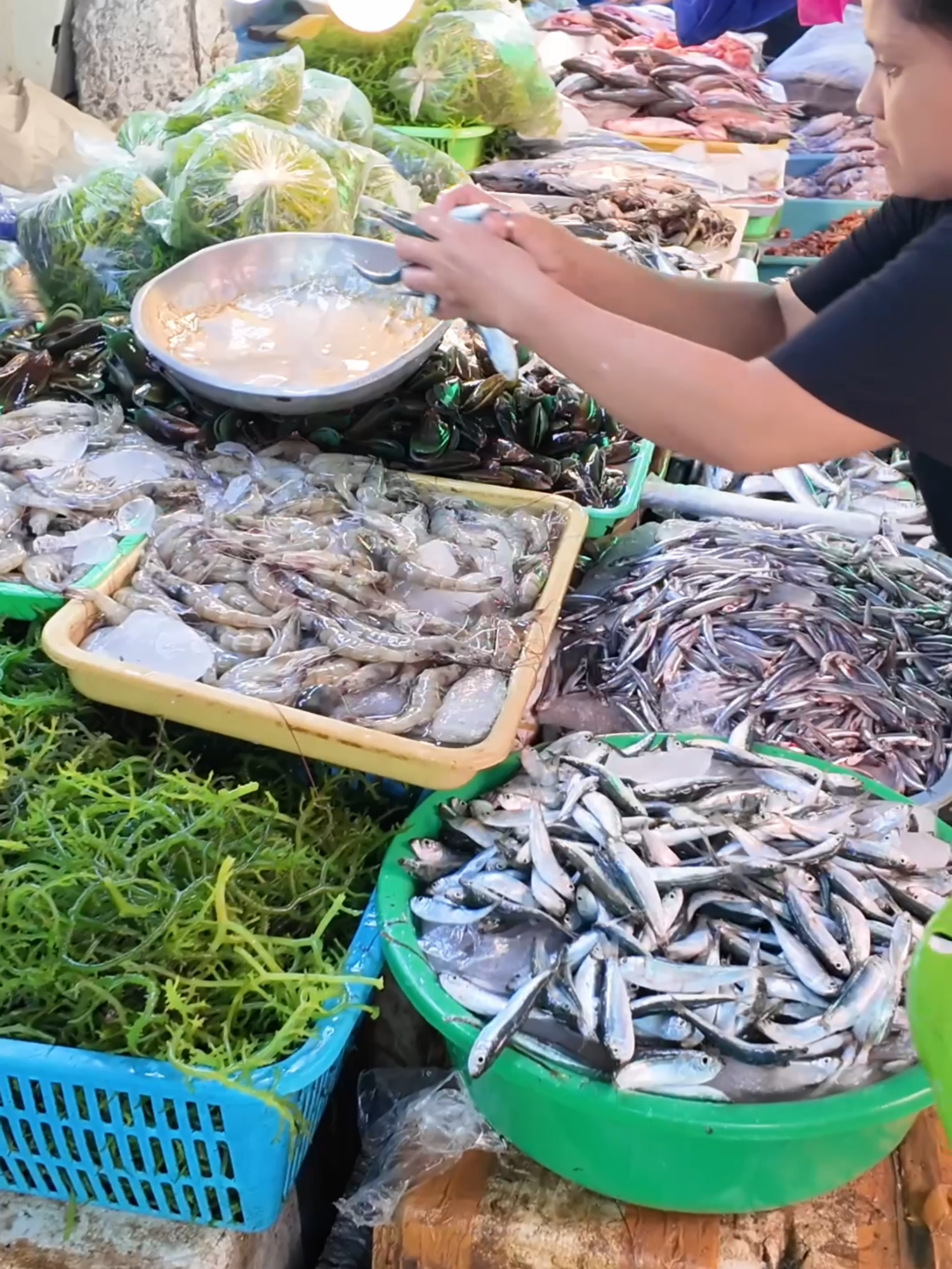 @haydolfoodtrip