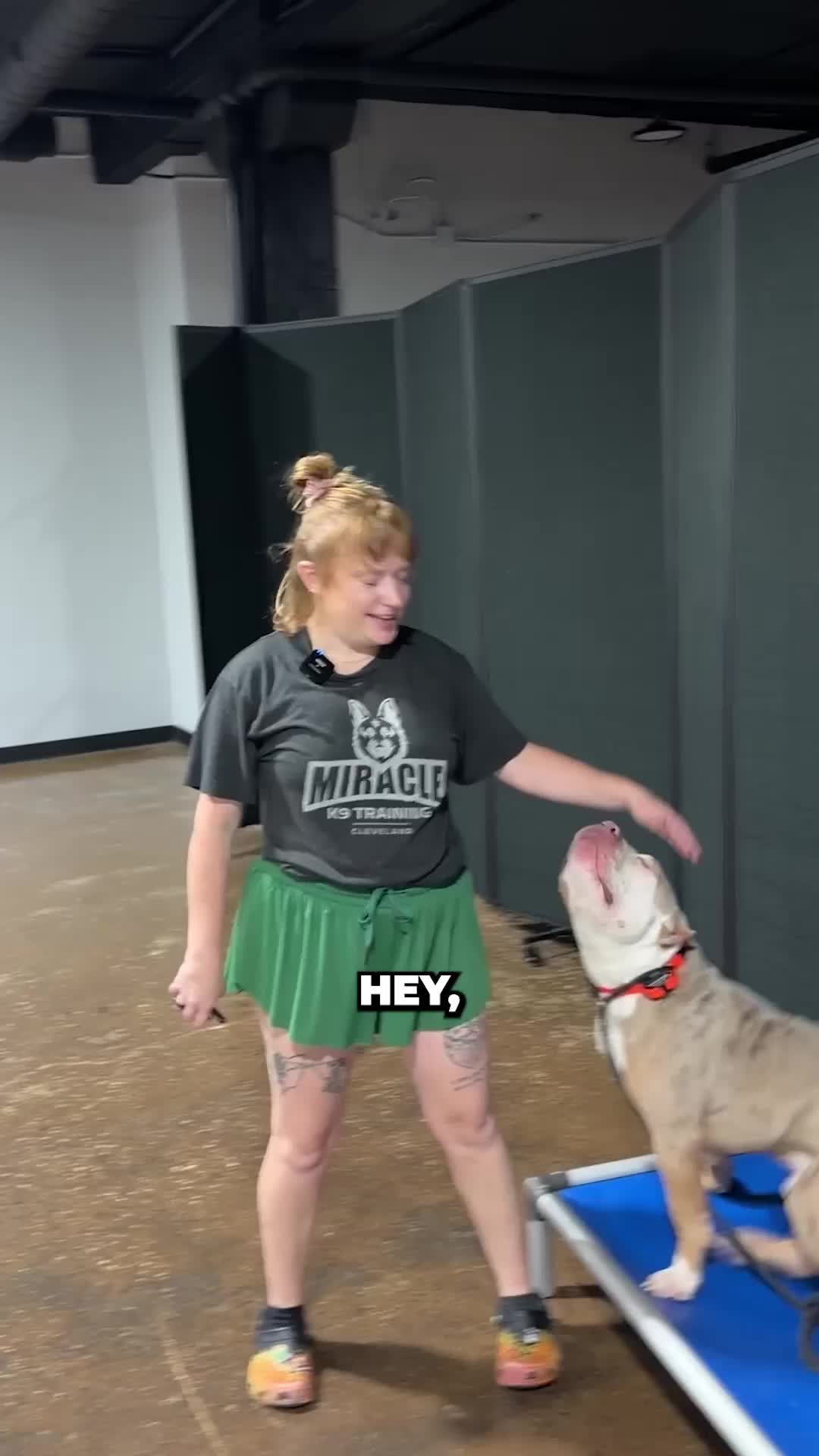@Miracle K9 Training