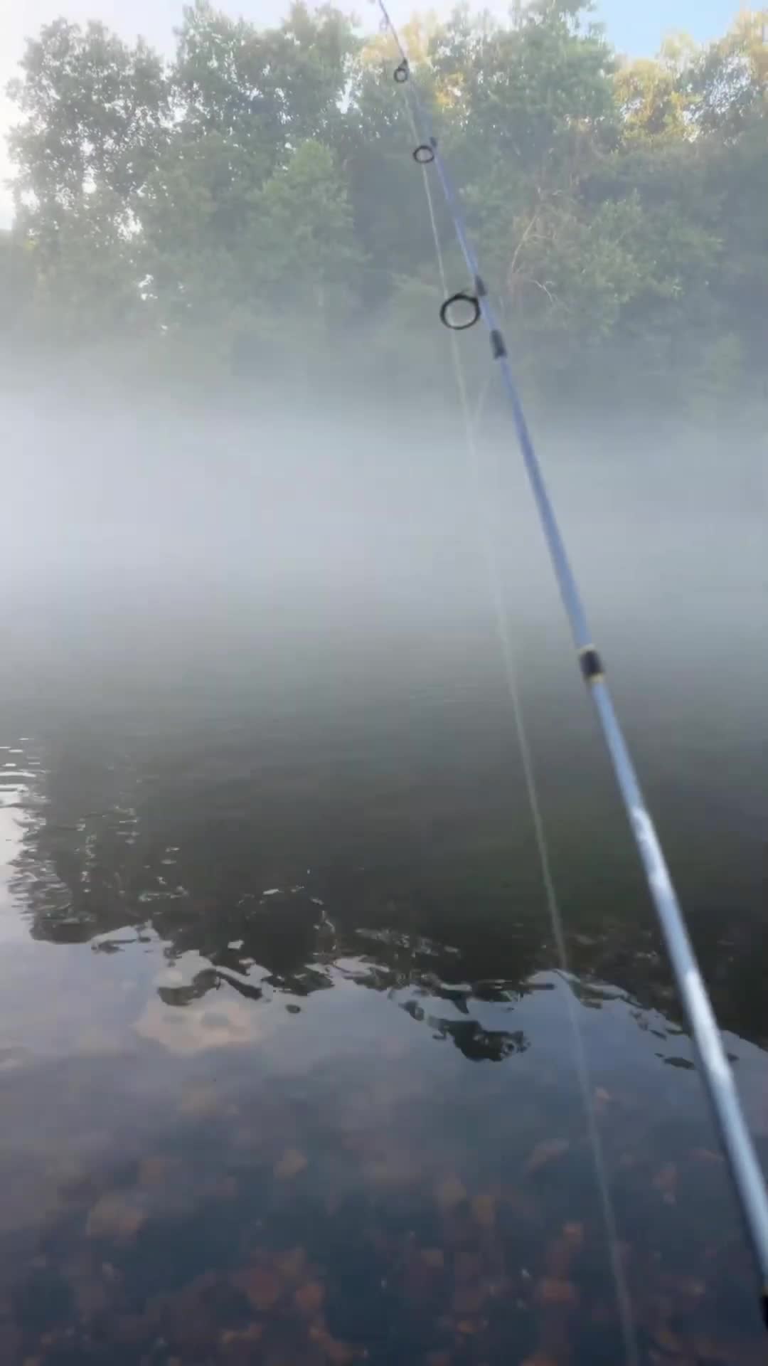 @LOVELACE 🎣
