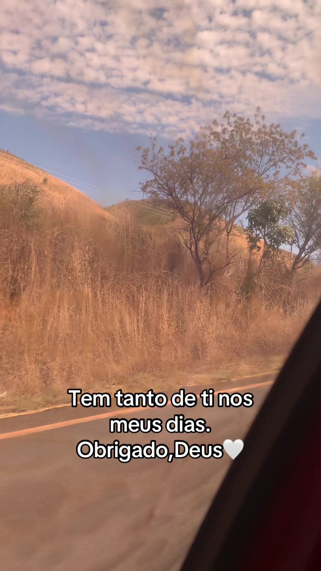 @Cidinha Vieira da Fo