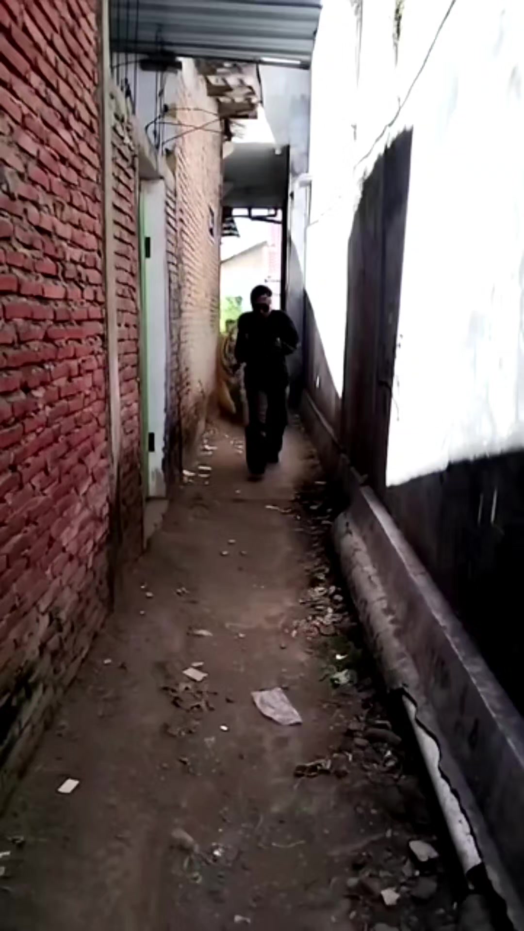 @Arie ezra