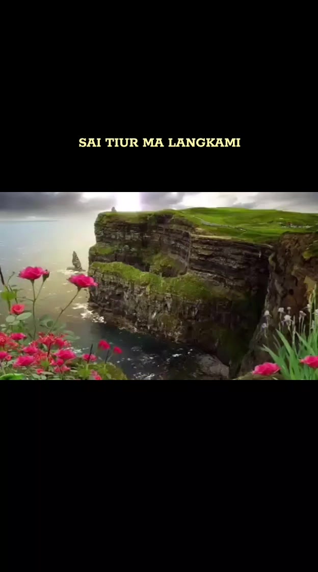 @Bulir Padi