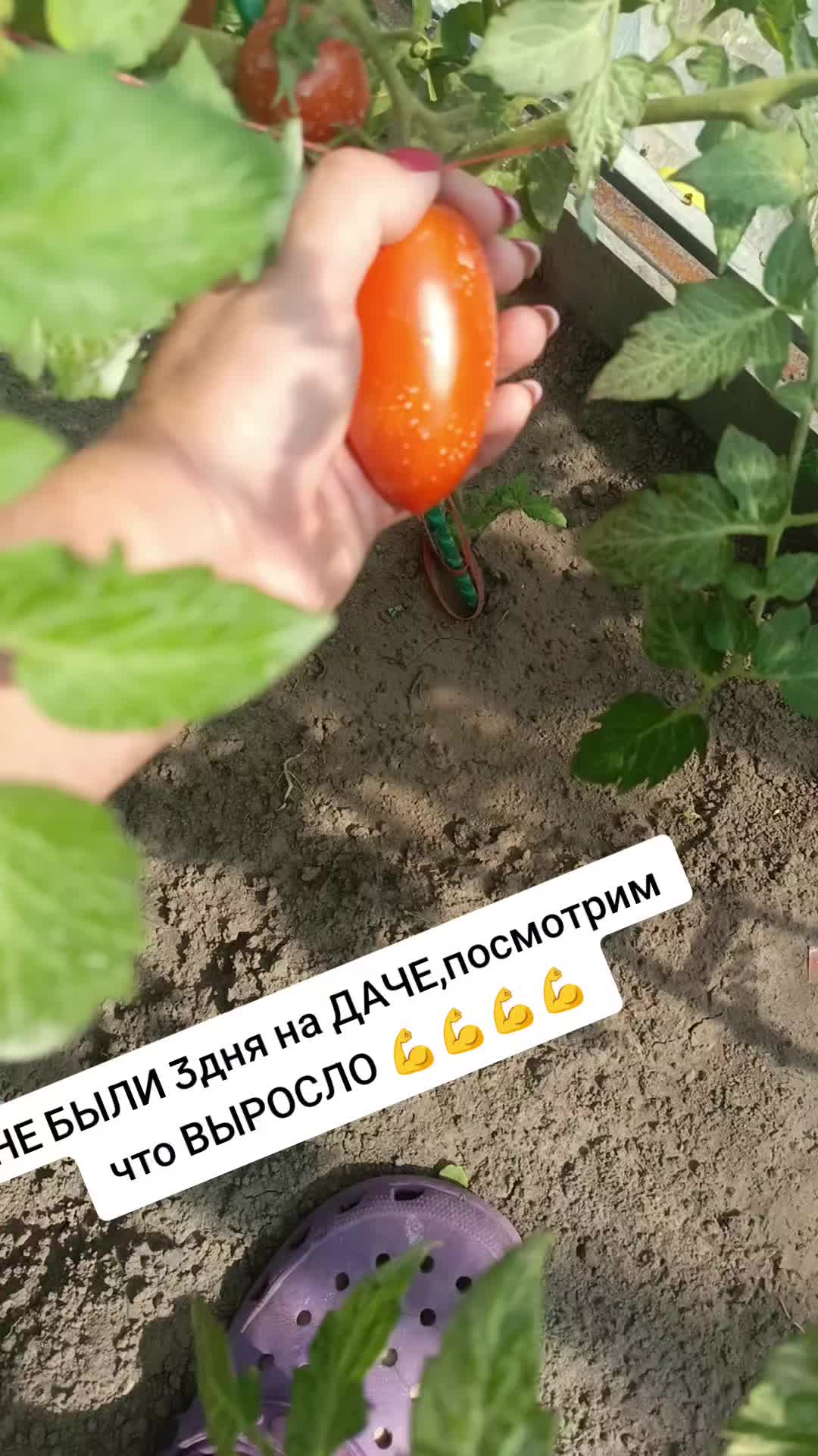 @Оленька
