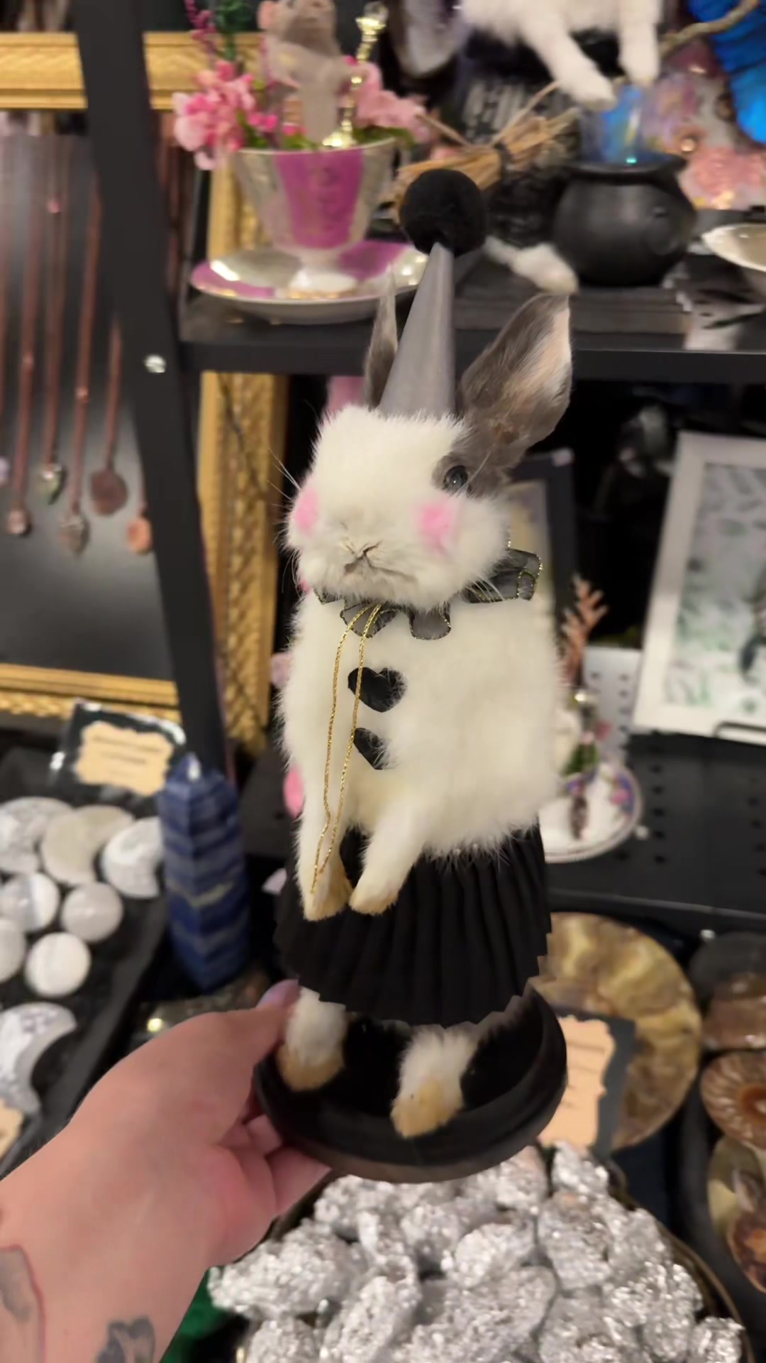 @Oddities & Curiosities Expo
