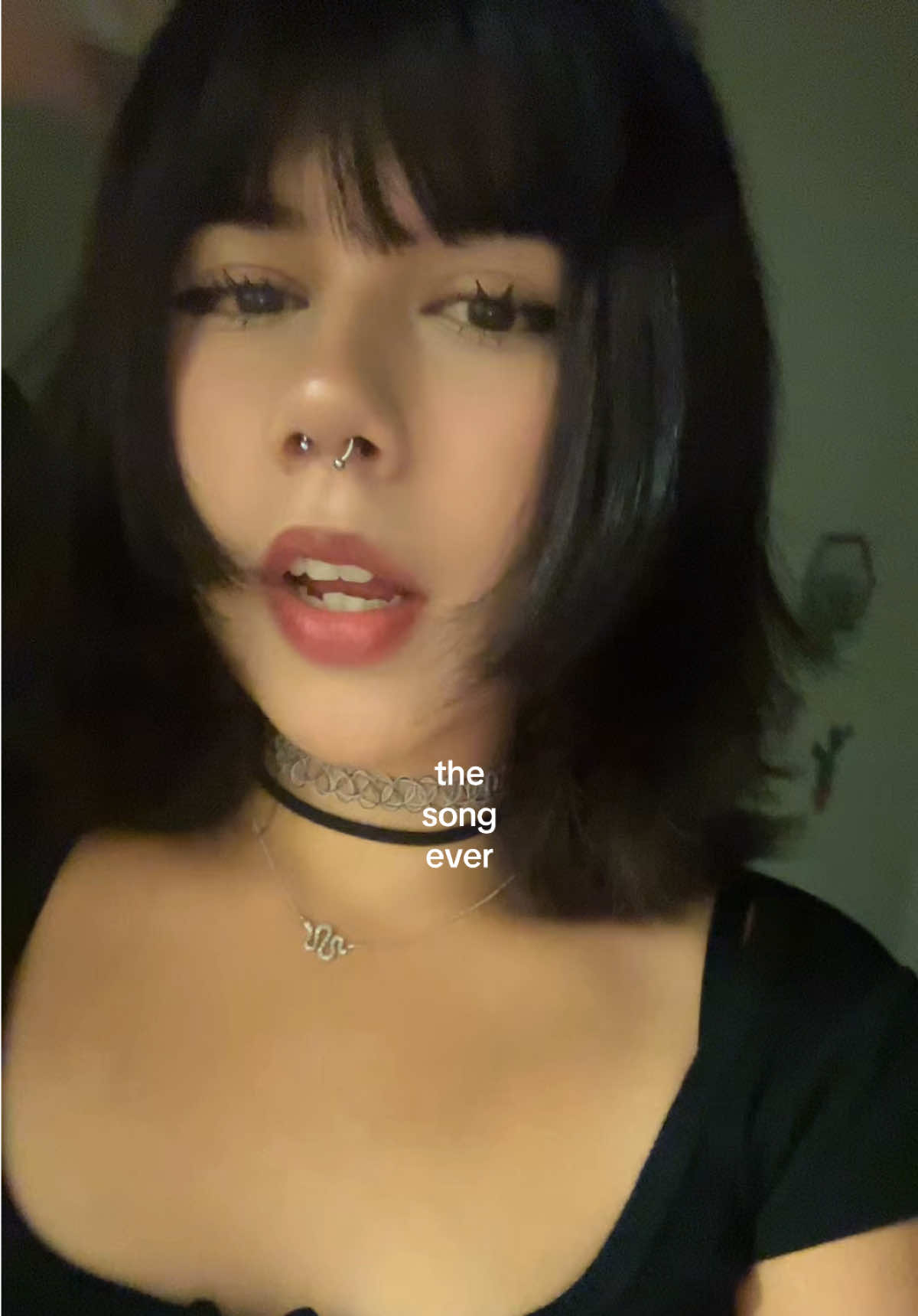 @stella 🐇