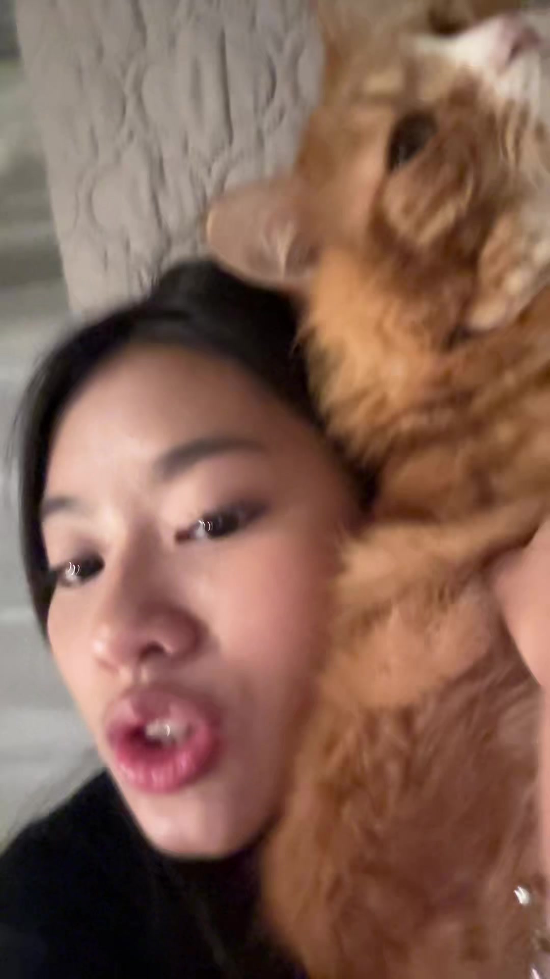 @🥟