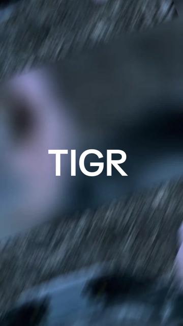 @🇹🇯🇺🇿TlGR🇰🇿🇷🇺