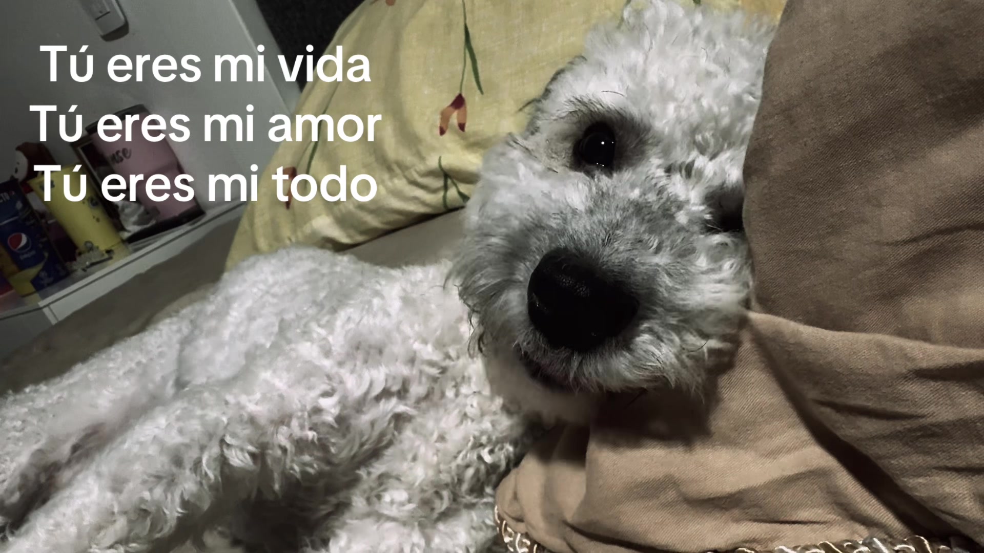 @Monserrath Martínez