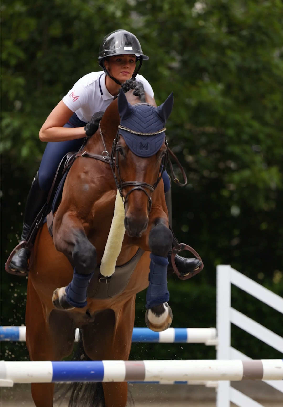 @Maximilian Equestrian