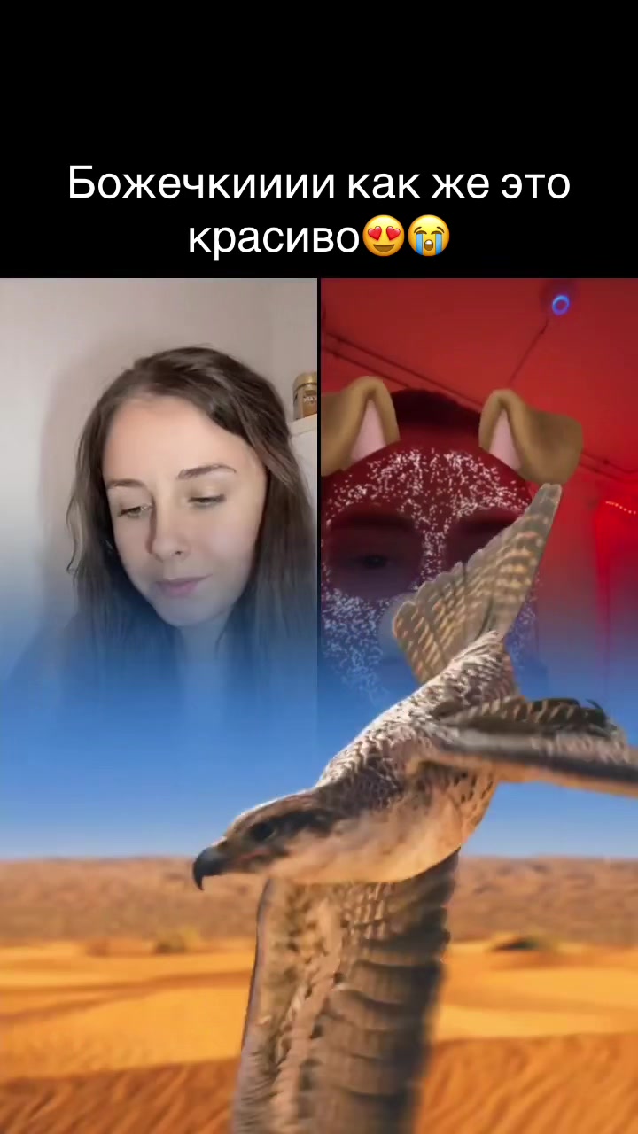 @⚜️𝓝𝓪𝓽𝓪𝓵𝓲⚜️