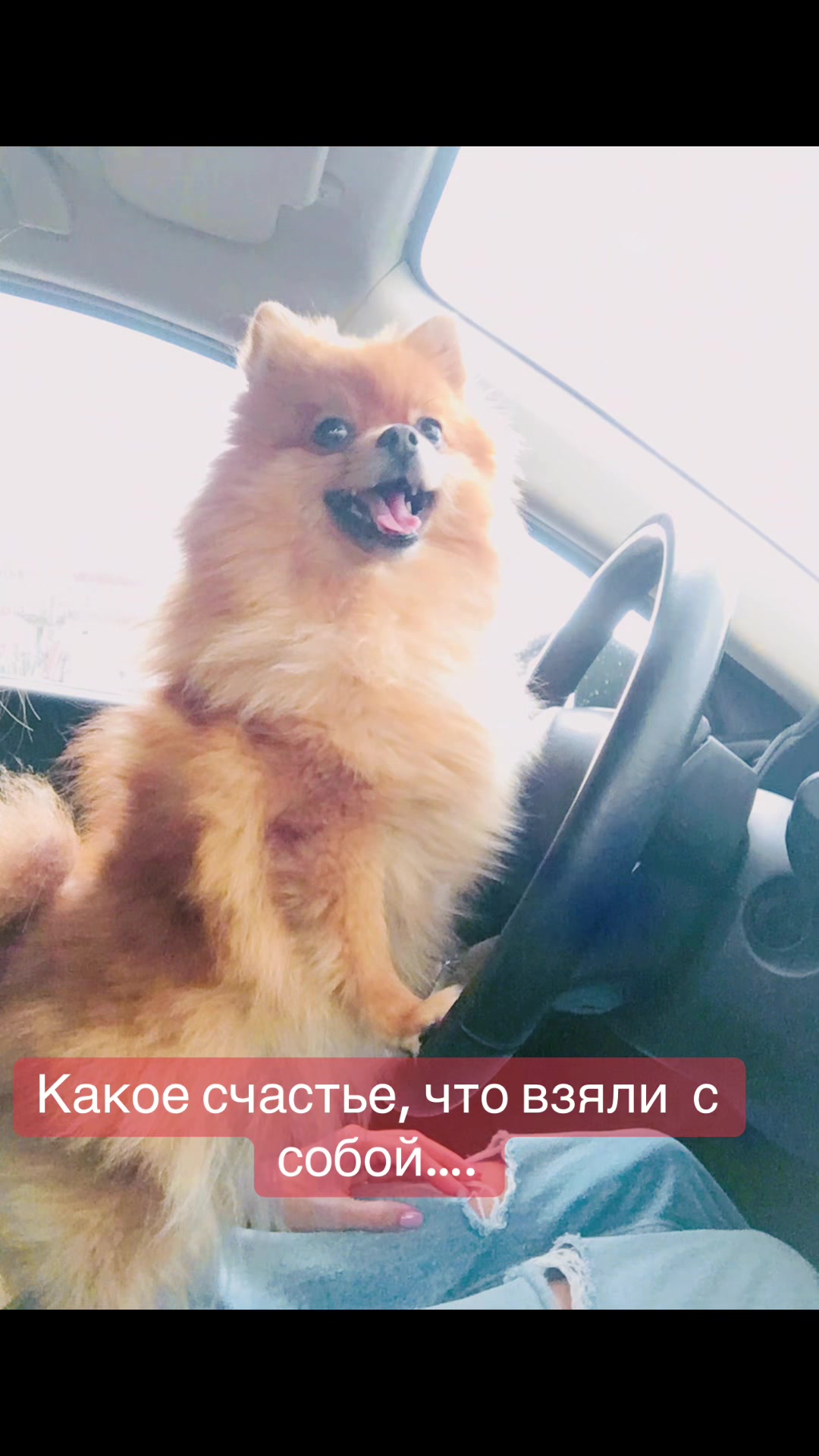 @Ирина Чижова