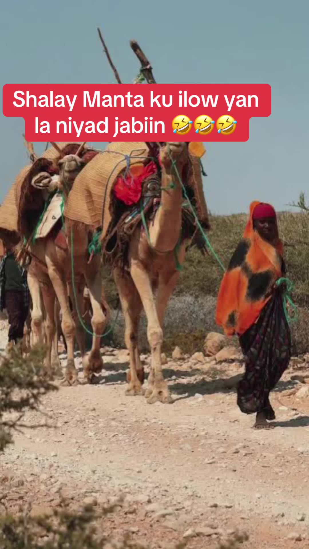 @Queen Qayrtoo🐐🤎🇸🇱
