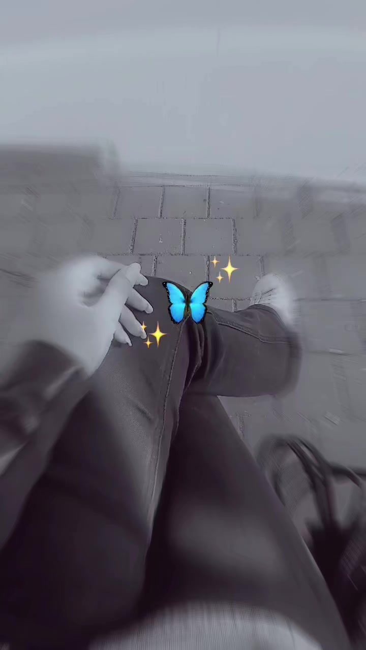 @★&bull;&deg;&bull;𝐒𝐞𝐭𝐚𝐫𝐞&bull;&deg;&bull;★