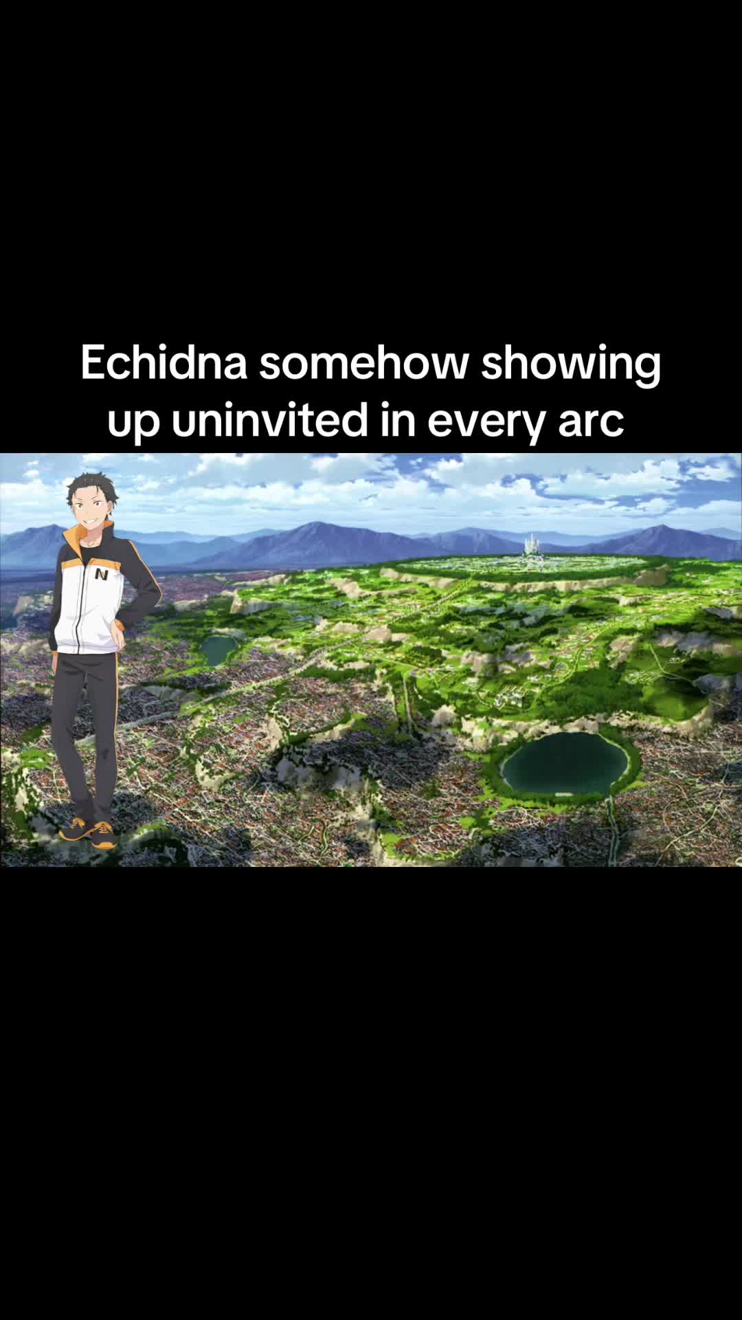 @Milkies/Echidna