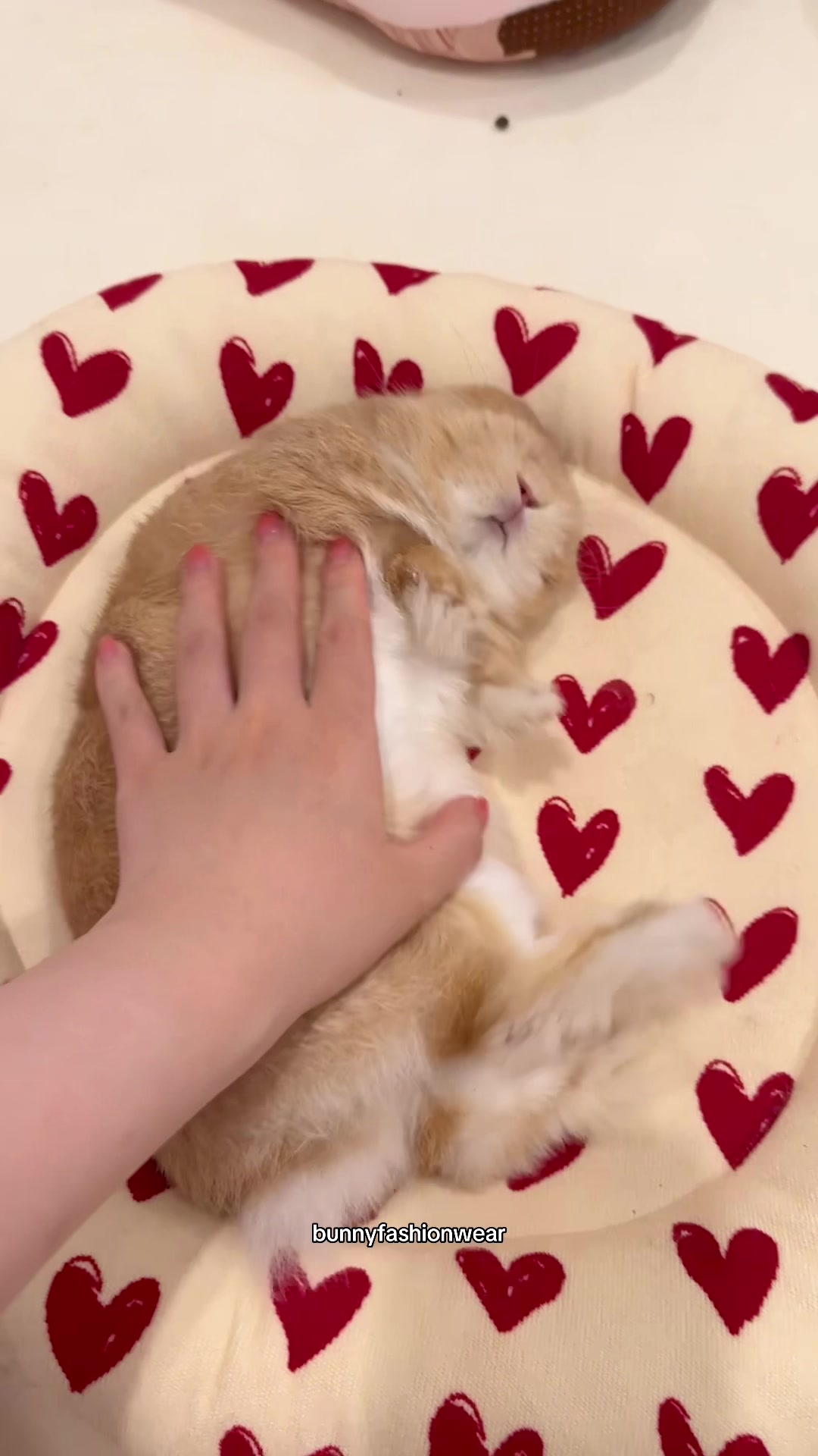 @Eggie