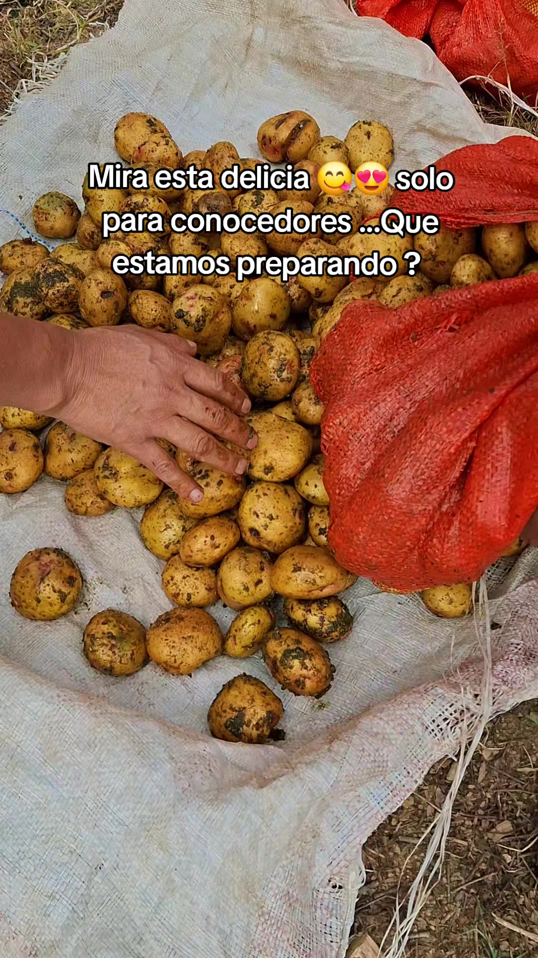 @Yoel Garay💎