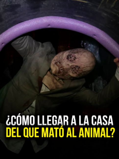 @El Sol de Puebla