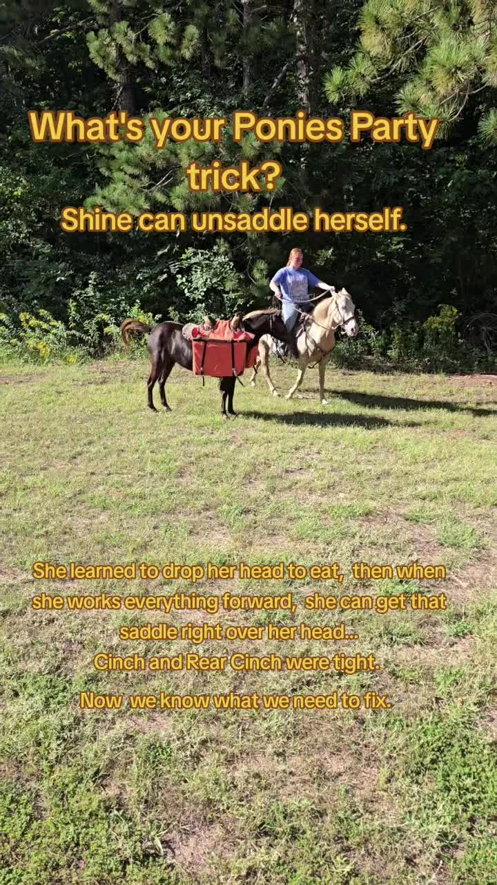 @Small Town Farm LLC