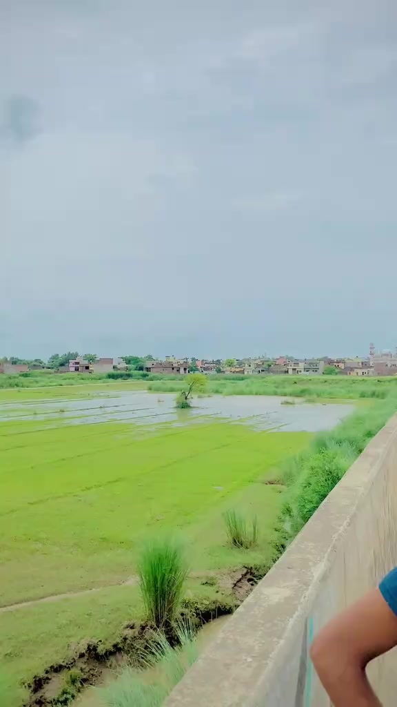 @Rana_shahid07