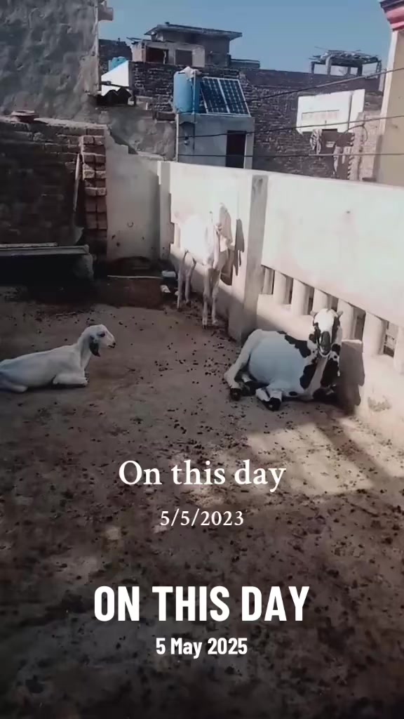@Saqib Goraya