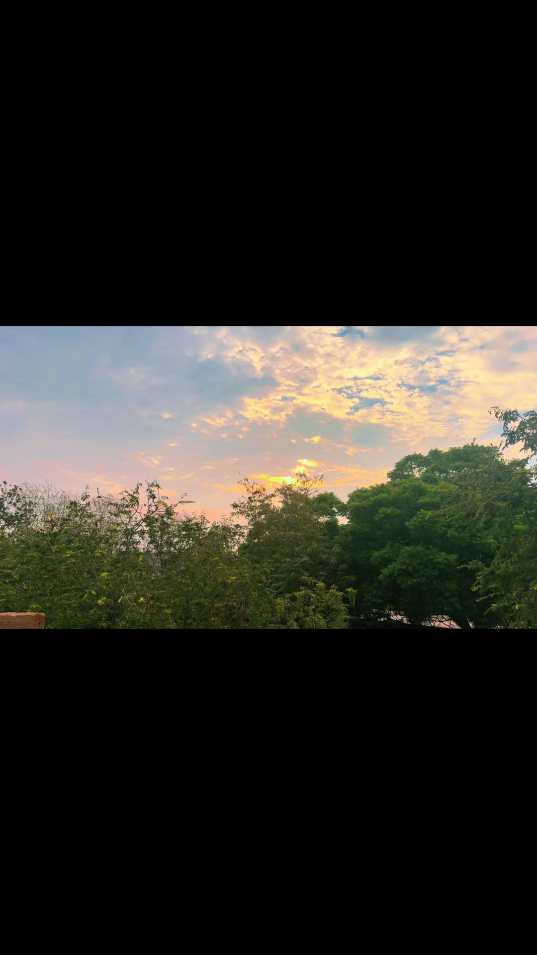 @عروفہ فراز 🧿