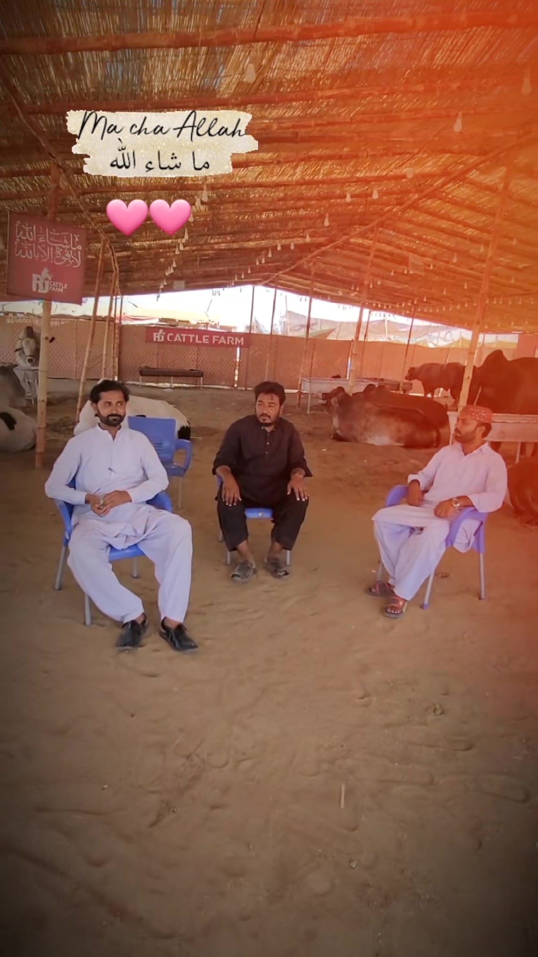 @ملک زین اعوان   ✅