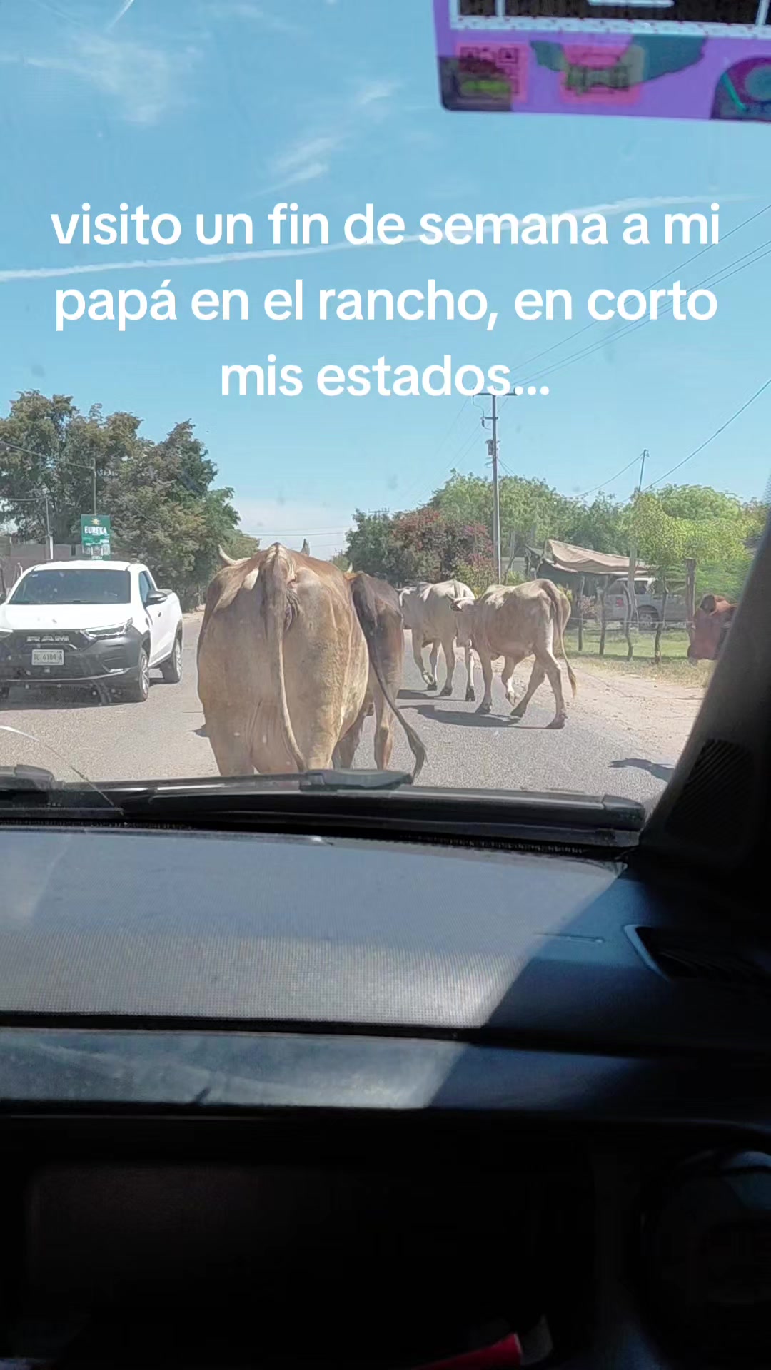 @Pao Pasos