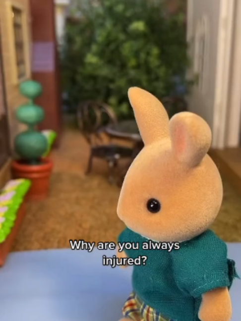 @sylvanian.nodrama